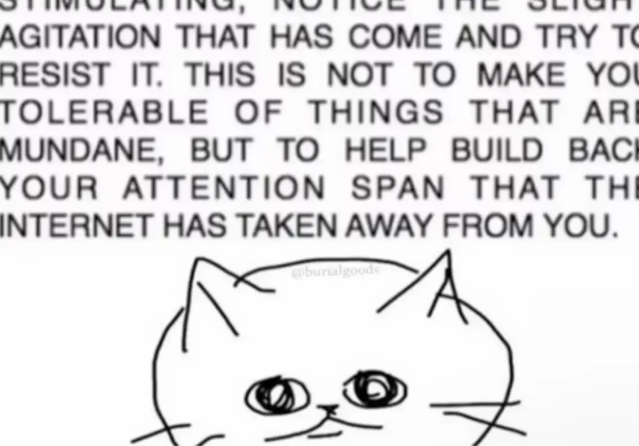 LOOK AT THIS CAT transcribed text