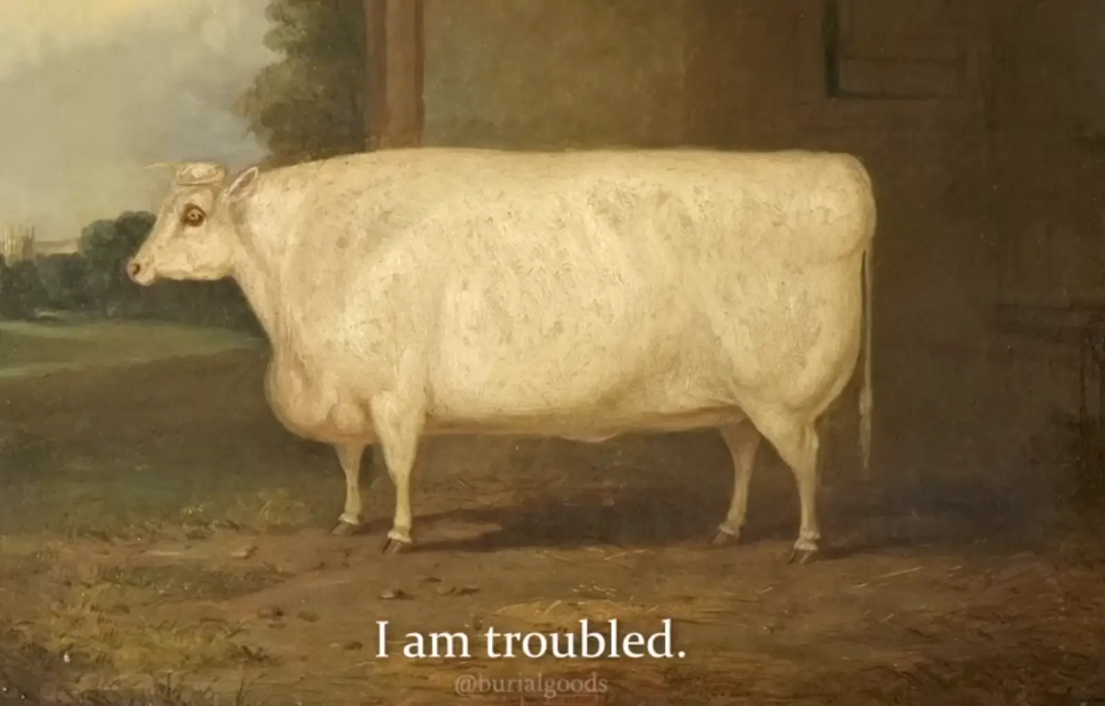 Brother, I am troubled – transcribed text